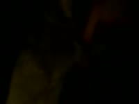 VYHONIL JSEM PSOVI JEHO P&Eacute;RO